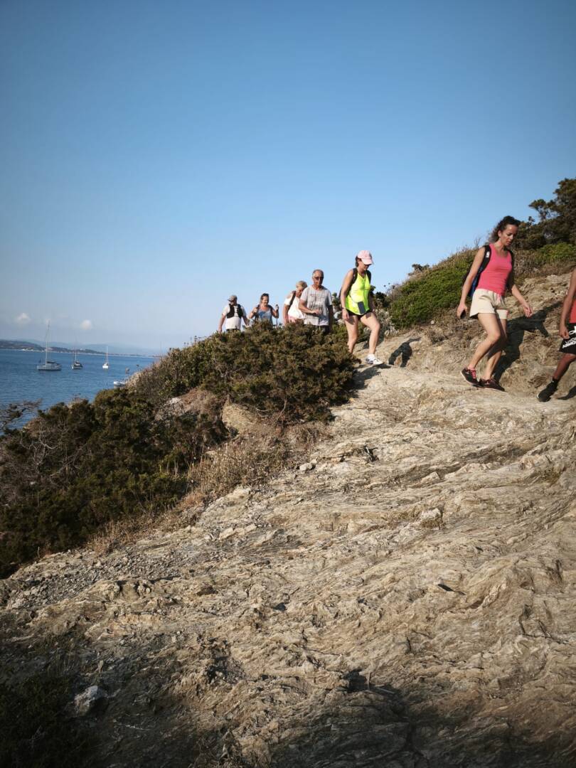 48ba6039-67e7-4183-aed8-07727a4b0e07