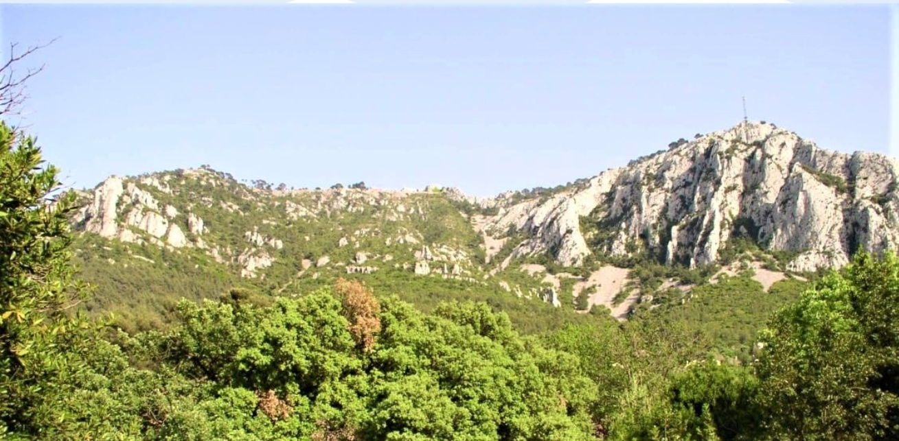 lieu-en-nature